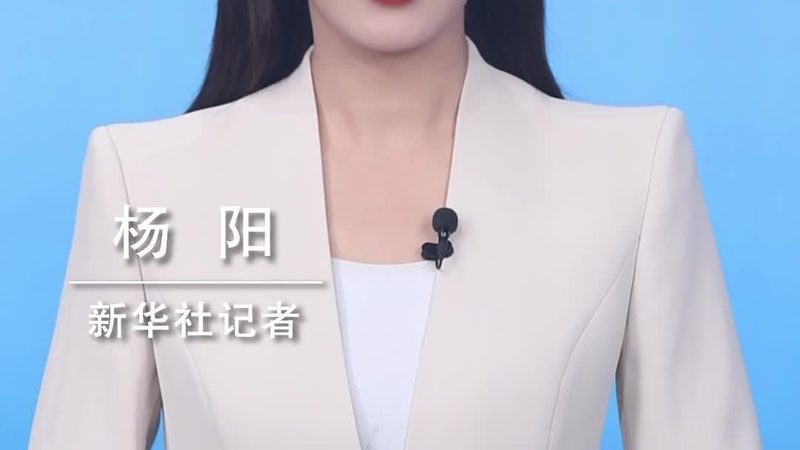 数据治理委员会章程范本：构建高效数据治理体系的基石
